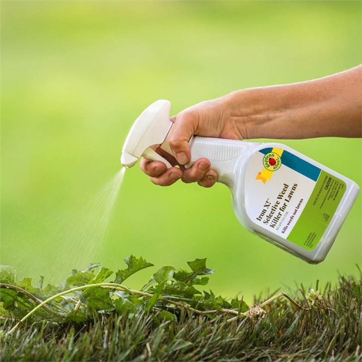 TNN Application Of Cyanuric Acid