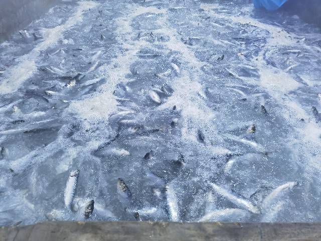 info-640-480 info-640-480